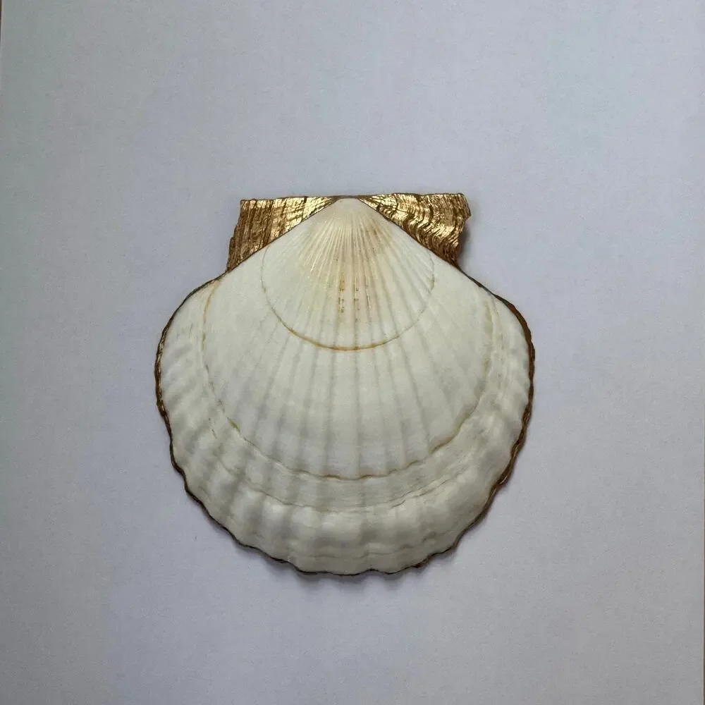 Vintage Floral Seashell Trinket Dish Coastal Decor